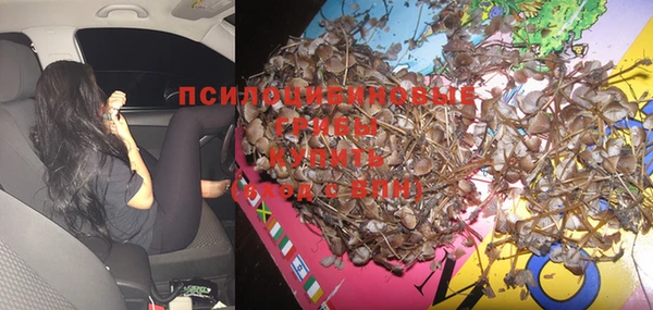 ГАЛЛЮЦИНОГЕННЫЕ ГРИБЫ Баксан
